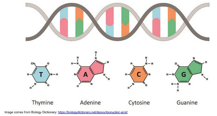 DNA Sequencing and Healthcare | Elio Academy