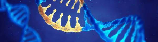 Genetic Engineering and Designer T Cells