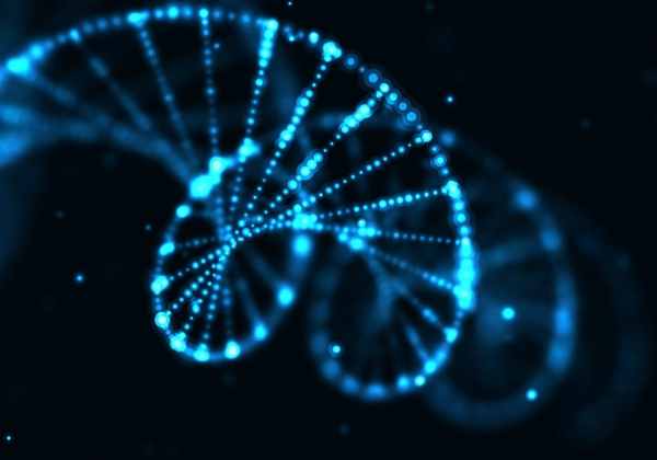 Li-Fraumeni Syndrome and TP53 Mutation Types