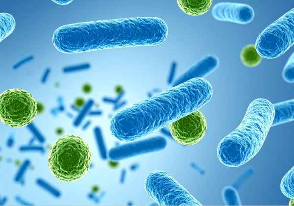 Bacteriophage Therapy to Combat Cancer