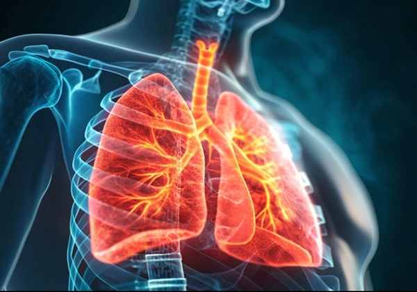 Role of ORMDL3 and GSDMB in Asthma Inflammation