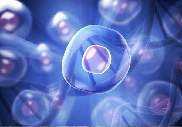 PTEN and Cowden Syndrome