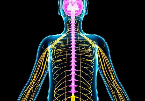 Role of Upregulated Cathepsin-H in Mutated ALS