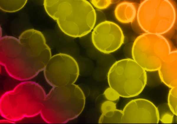 Targeting the Bacterial Cell Wall